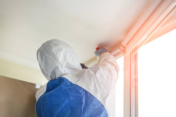 Best Forensic Mold Investigation  in USA